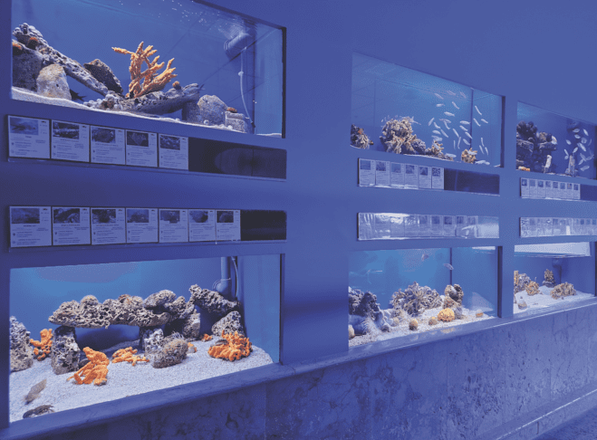 Screenshot 2026 03 19 at 09.31.30