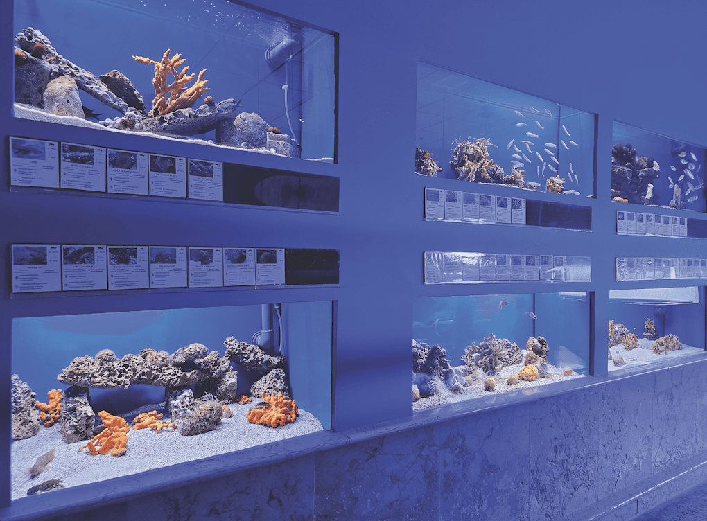 Screenshot 2026 03 19 at 09.31.30