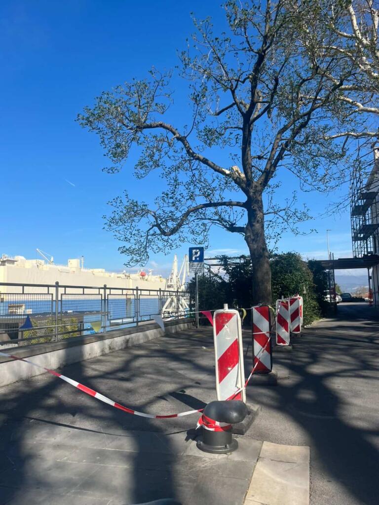 661483388 1447143216887929 1820494002080838312 n