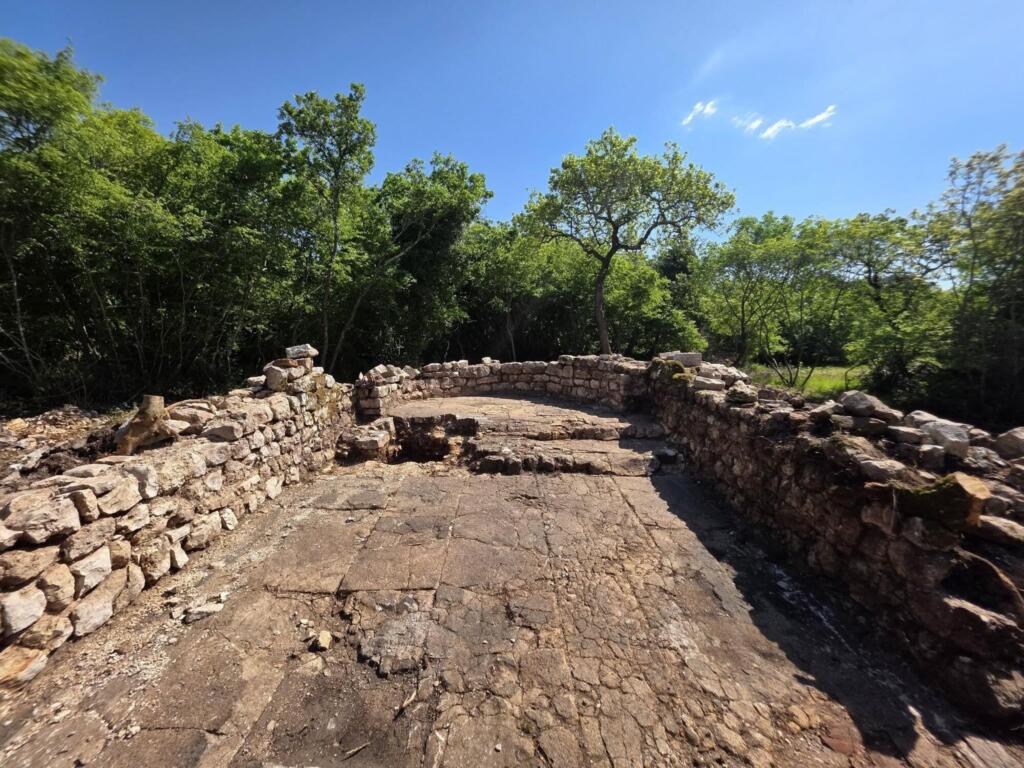 673487356 1427645049162919 7477133654469463990 n