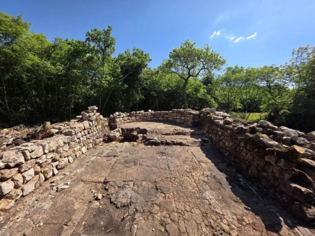 673487356 1427645049162919 7477133654469463990 n