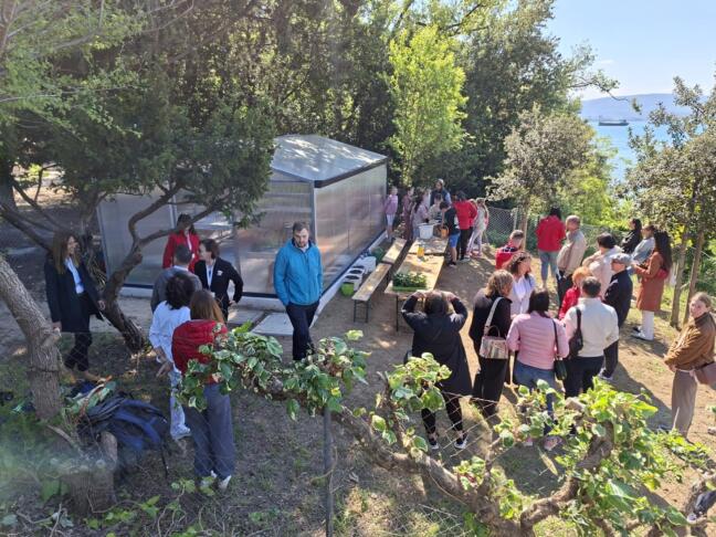 morski svet debeli rtič