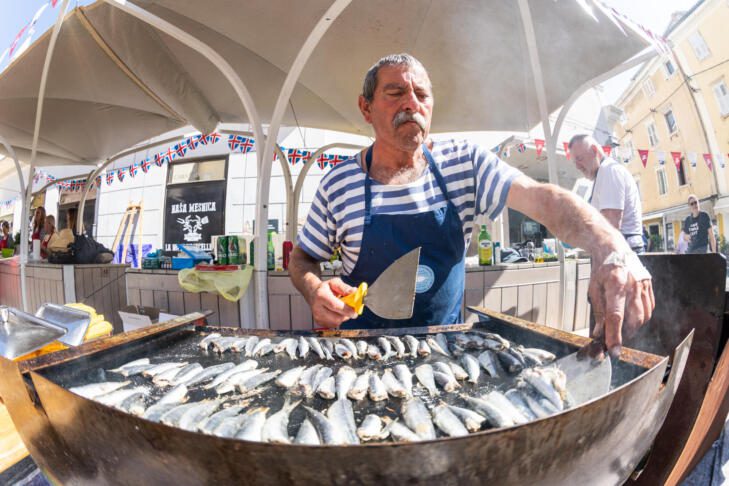 681231738 1599764598260094 2147733694175684891 n