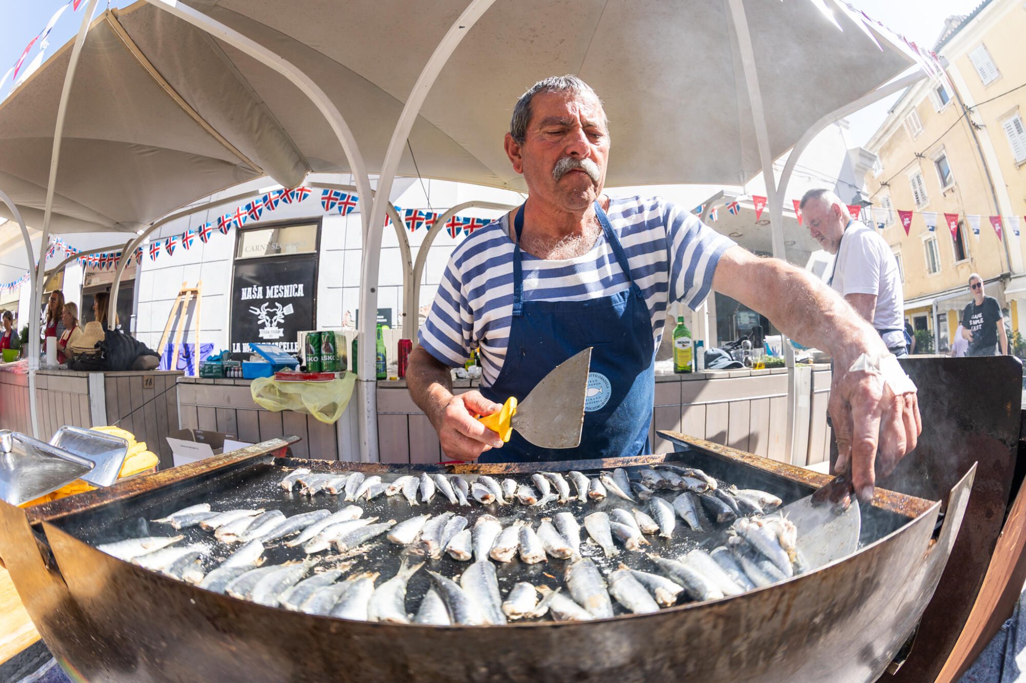 681231738 1599764598260094 2147733694175684891 n