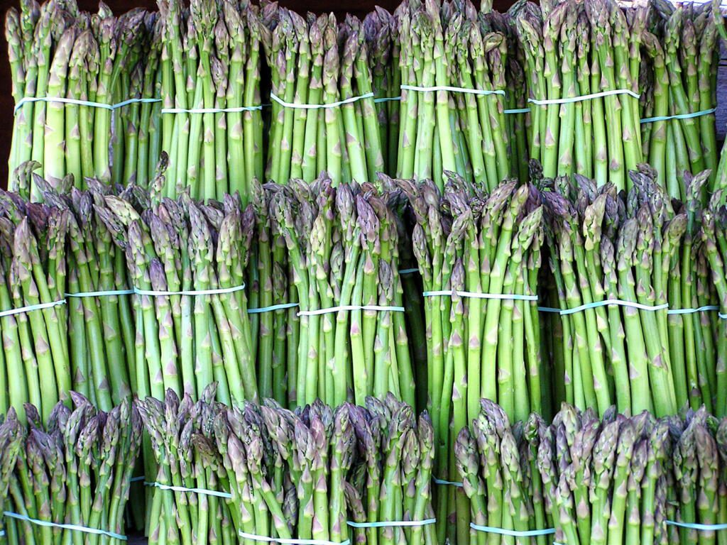 Asparagus image