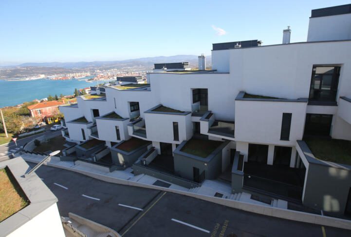 Zakaj se divje cvetlice selijo v mestna jedra? To so razlogi! 5 FotoTomi Lombar