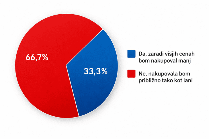 So ljudje letos med prazniki nakupovali manj? 2 Infographic Pie chart and legend