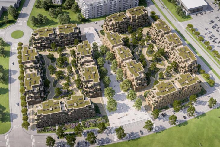 Zakaj se divje cvetlice selijo v mestna jedra? To so razlogi! 4 NOVA SOSESKA ZAJEM ZASLONA