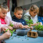 PRESAJANJE ZACIMBNIC 1 Dan Zemlje Foto Daniel Skerjanc 0195