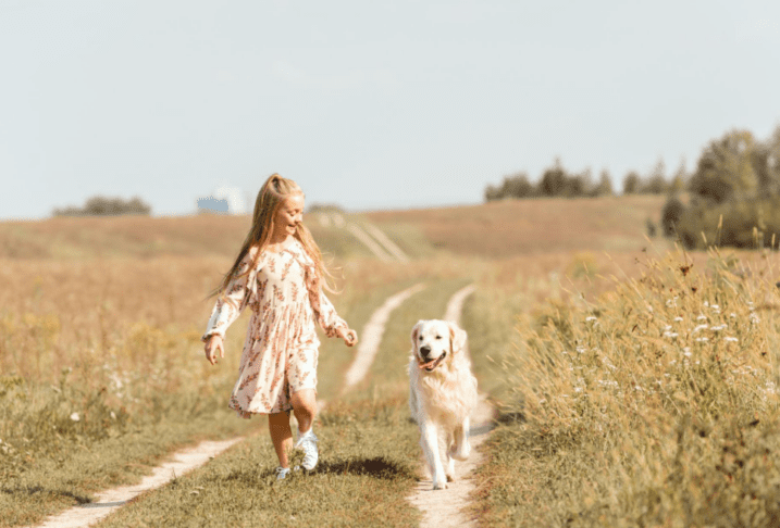 Ko pes postane varuška: 5 pasem, ki so najboljše z otroki 5 otrok pes