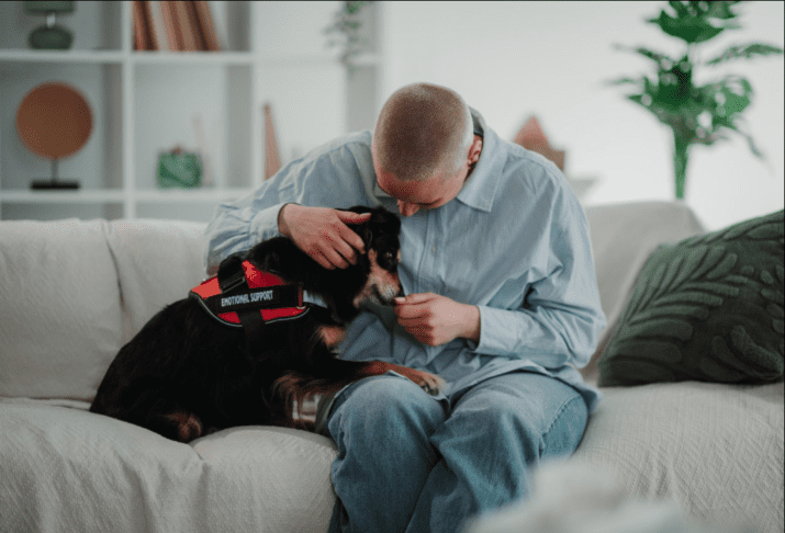 Več kot hišni ljubljenčki: psi, ki pomagajo proti stresu in osamljenosti 2 psi terapevti