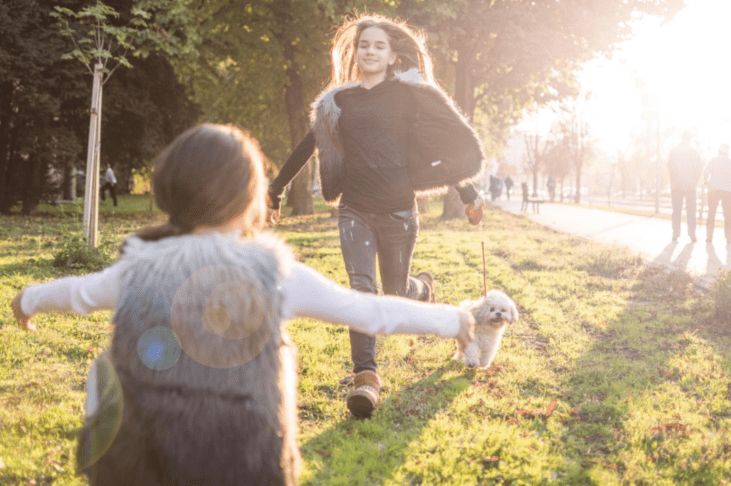 Več kot hišni ljubljenčki: psi, ki pomagajo proti stresu in osamljenosti 3 psi terapevti