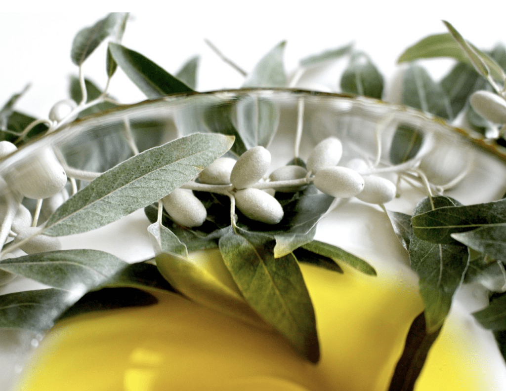 Screenshot 2026 04 05 at 09.20.30