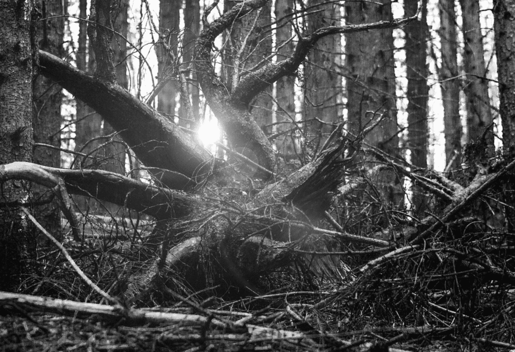 Med velikonočnim iskanjem jajc umrli mati, dojenček in najstnica