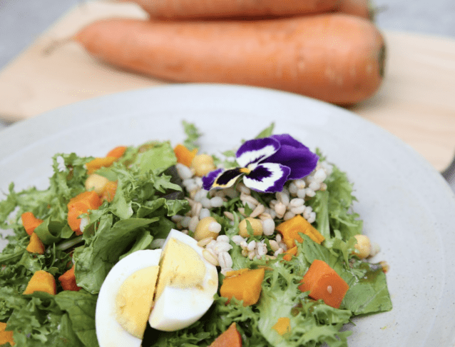 Kaj početi z jajci, ki so ostala po veliki noči? 2 Screenshot 2026 04 05 at 21.59.09