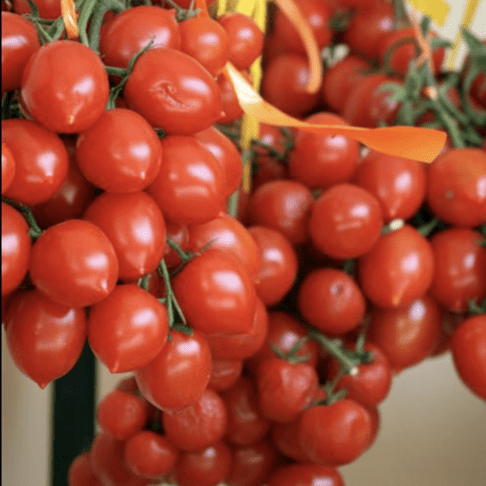 Screenshot 2026 04 16 at 15.07.07