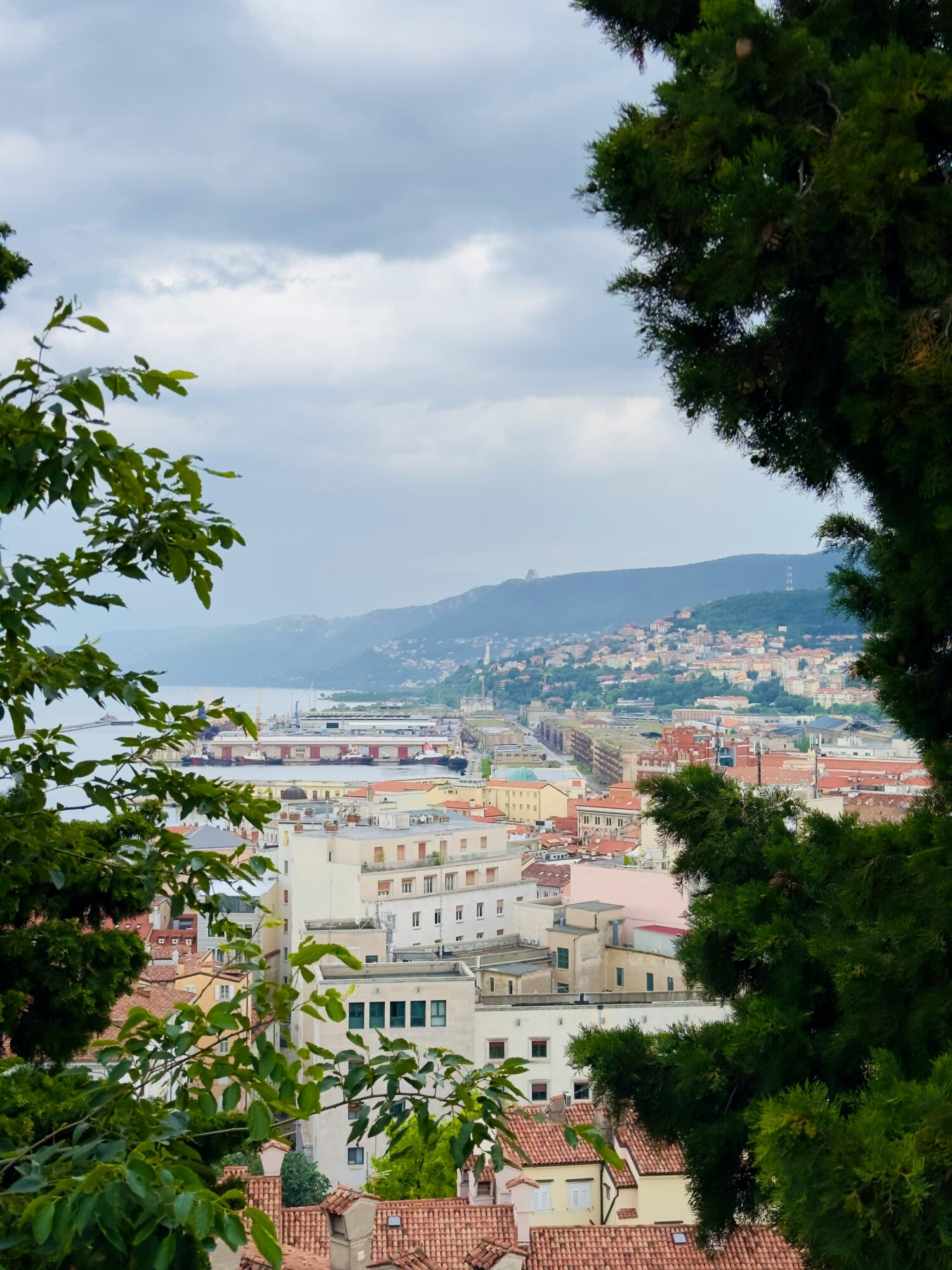 rikin katyal VcZSG qv8o unsplash