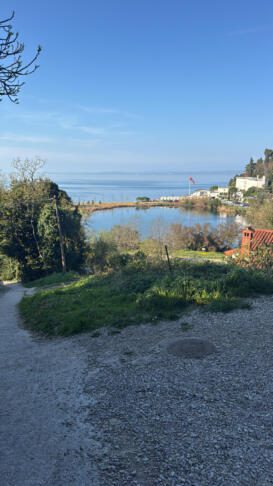 Fiesa dobiva obrise nove podobe (FOTO) 4 Fiesa