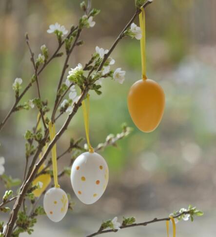 yves cedric schulze RKYPRNMCBsY unsplash e1775029133962