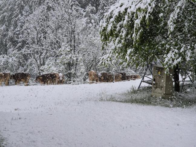 696480494 1538675804938306 7150846206962401682 n