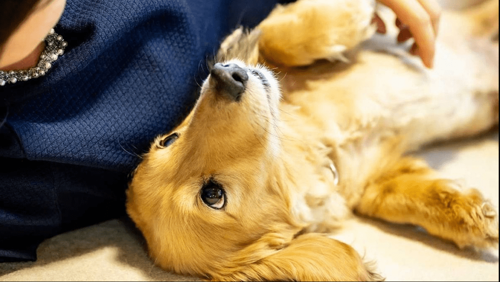 pes