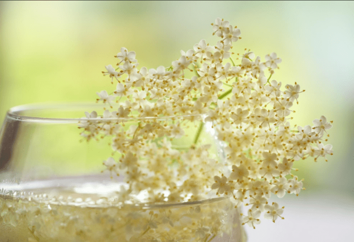 bezgov sirup