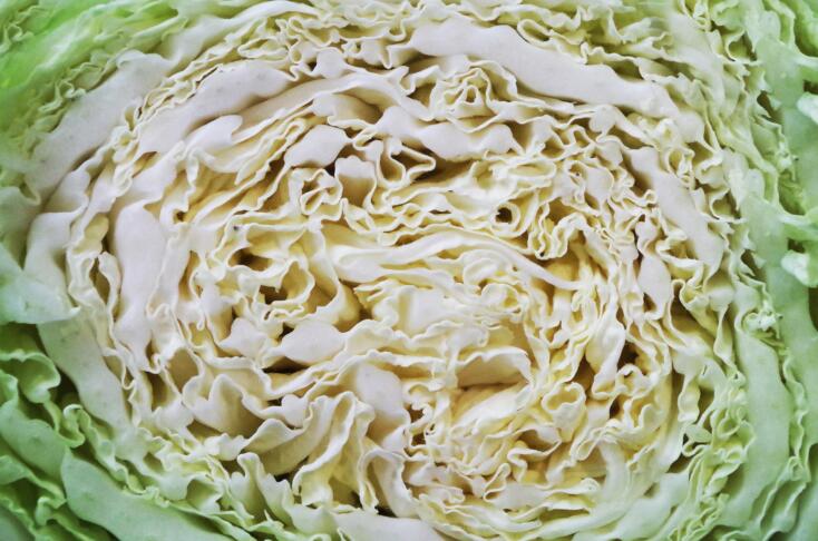 ajale cabbage 2010114 1920