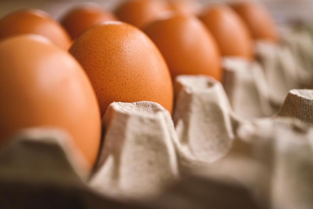 akirevarga egg 7345934 1