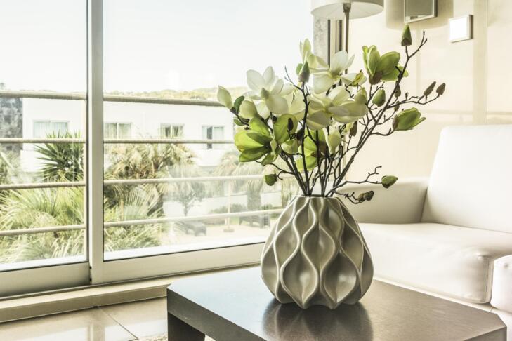 charloisporto window 3344407 1920