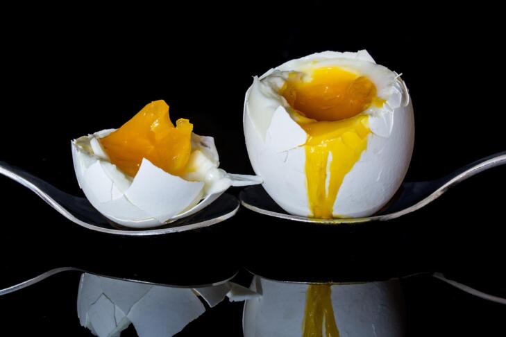 myriams fotos egg 2161877
