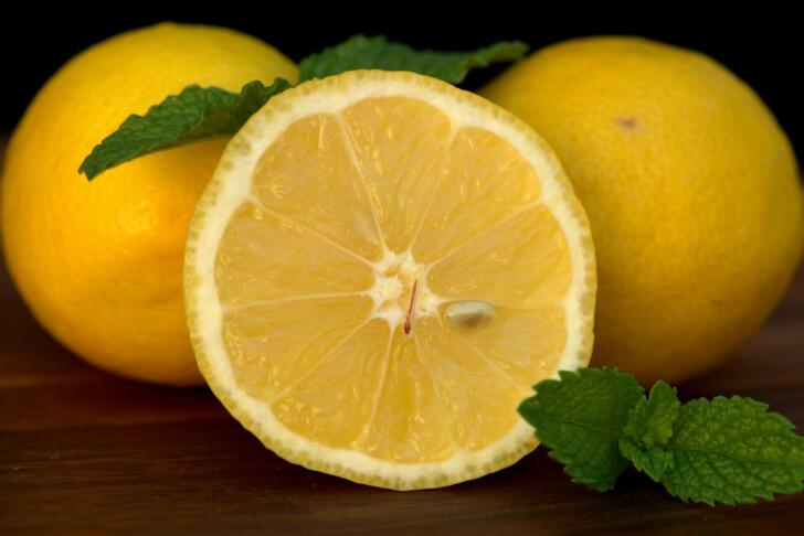 limona citrusi osvežitev poletje hladilnik