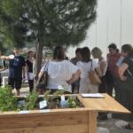 Osnovnošolci s Škofij v projektu Šolski »eko« vrtovi (FOTO) 4 20260527 155228
