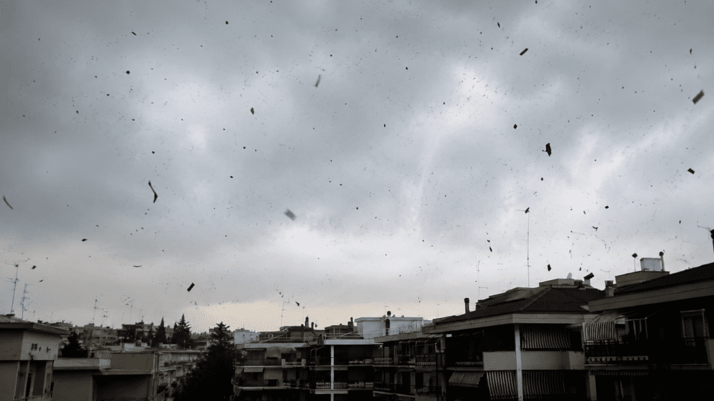 tornado v rimu