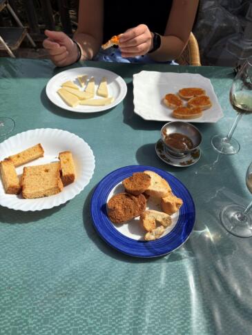 Zakaj je Gran Canaria ena najbolj priljubljenih evropskih destinacij? 9 Gran Canaria kava 2