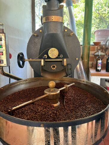 Gran Canaria kava