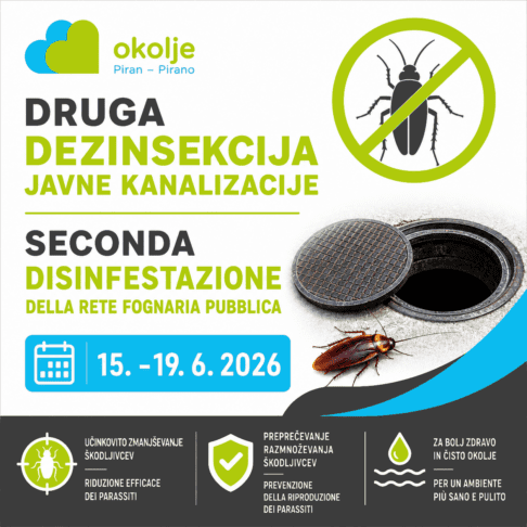 V Piranu prihodnji teden druga letošnja dezinsekcija kanalizacijskega omrežja 2 Dezinsekcija ščurki žuželke Okolje Piran