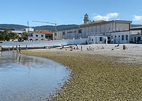plaža v trstu
