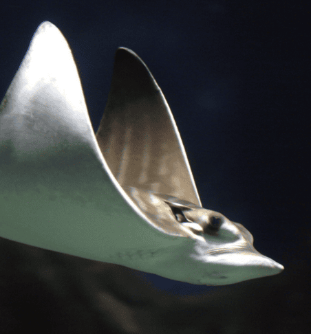 Screenshot 2026 07 15 at 11.33.51