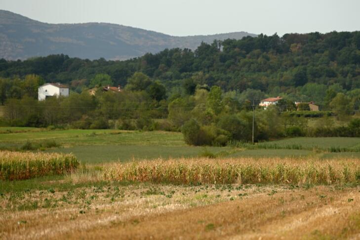 suša