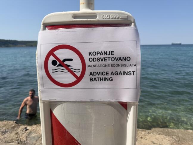 svetilnik delfin izola