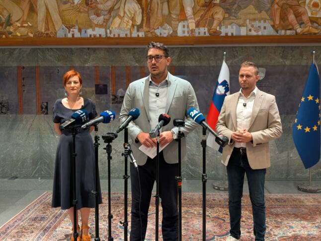 Referendum o Stevanoviću: bodo o njegovi razrešitvi odločali volivci? 2 zoran stevanović
