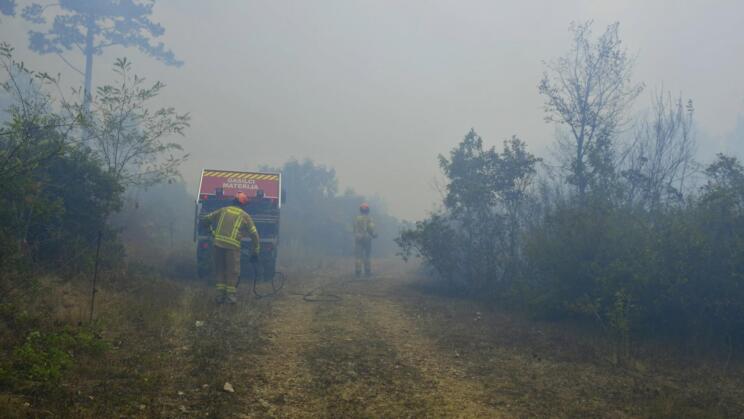 FOTO: Tako se je več kot 100 gasilcev borilo s požarom pri Črnotičah 3 780056791 10230549433230134 7286525340024777893 n