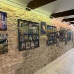 Šolta skozi objektiv Vite Mavrič (foto/video) 8 IMG 1938
