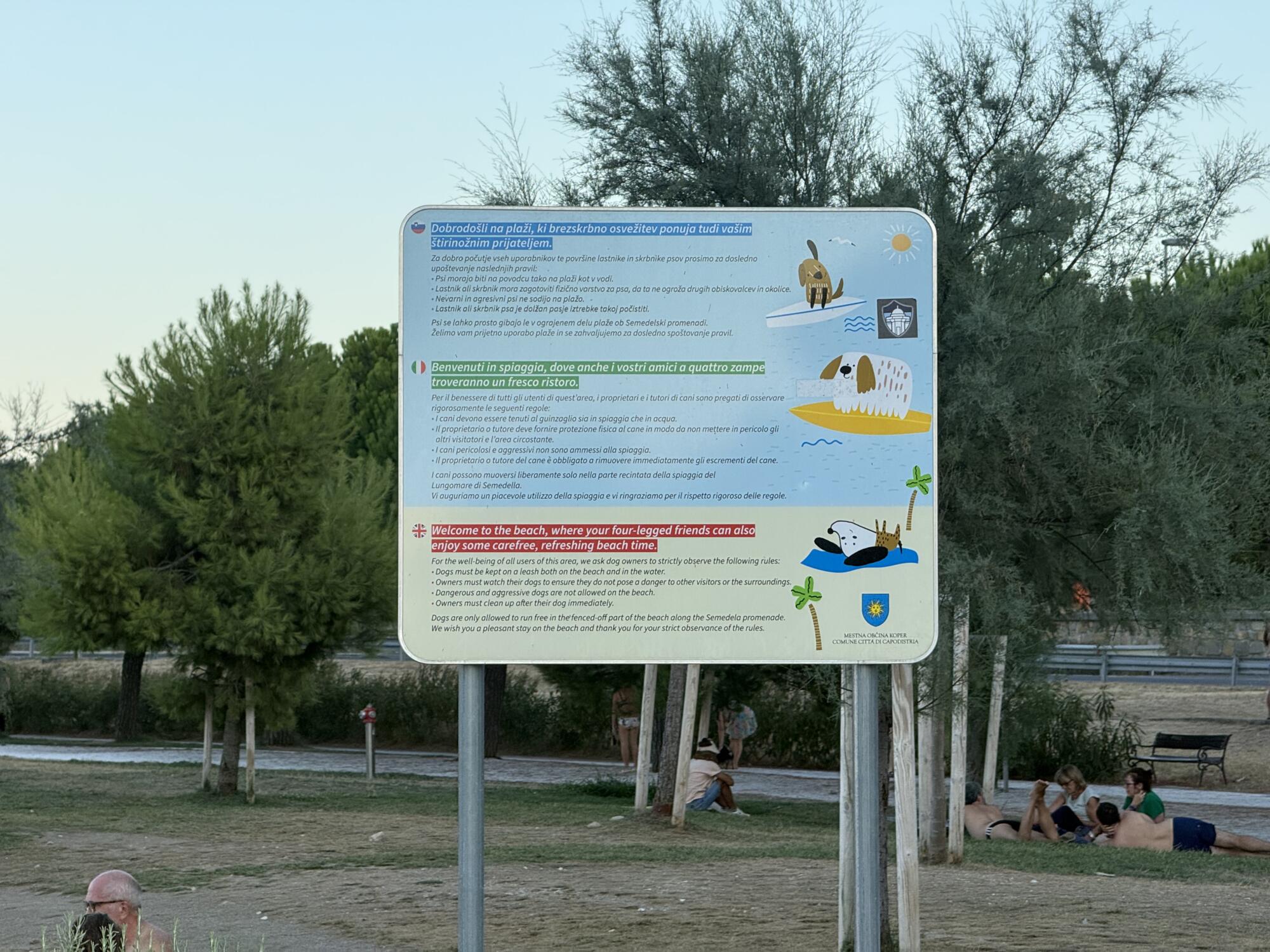 Pasje plaže na slovenski obali: 5 kotičkov, kjer lahko zaplava tudi vaš pes 5 pasja plaža kopanje psi hišni ljubljenčki morje