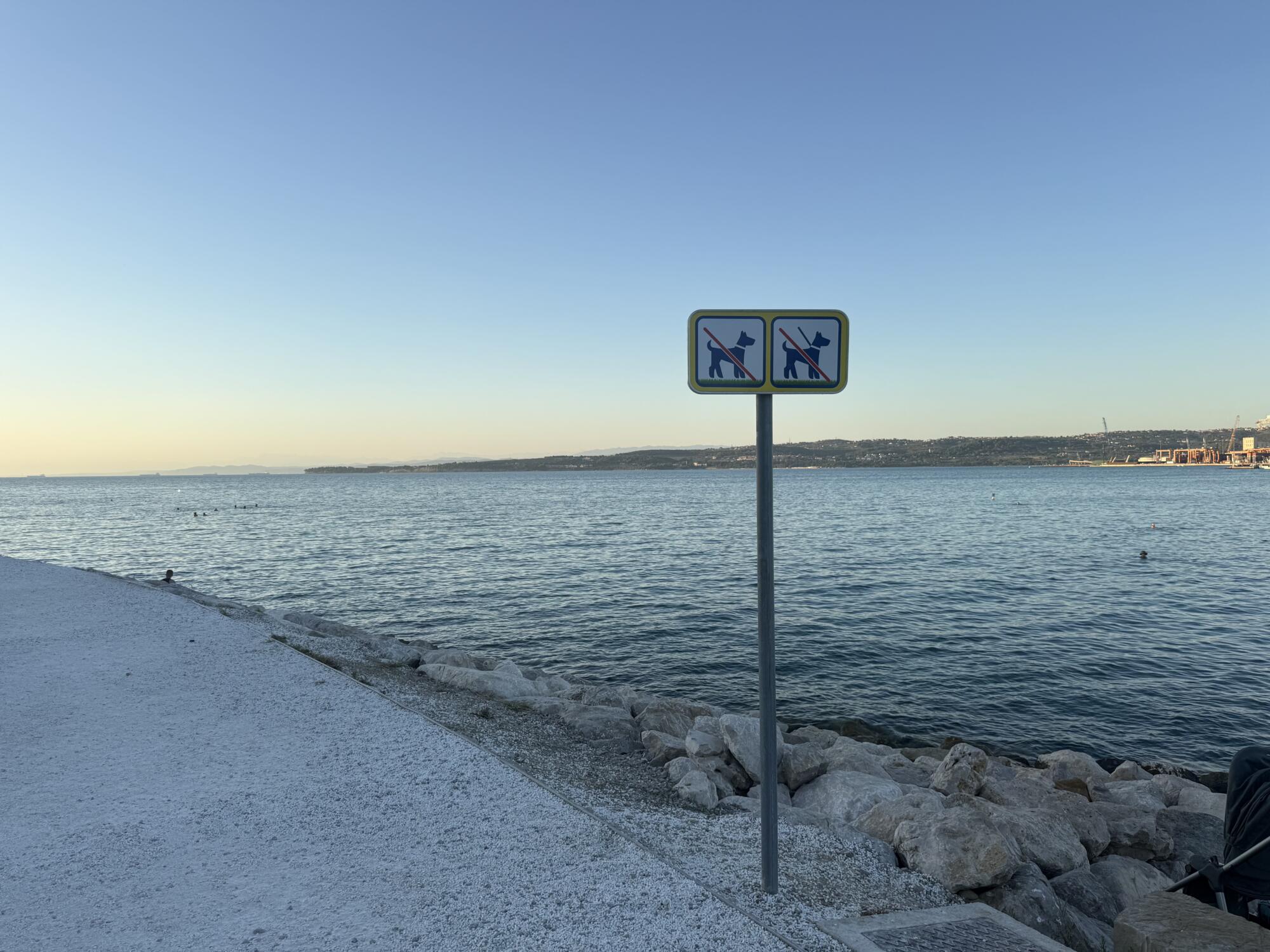 Pasje plaže na slovenski obali: 5 kotičkov, kjer lahko zaplava tudi vaš pes 6 pasja plaža kopanje psi hišni ljubljenčki morje