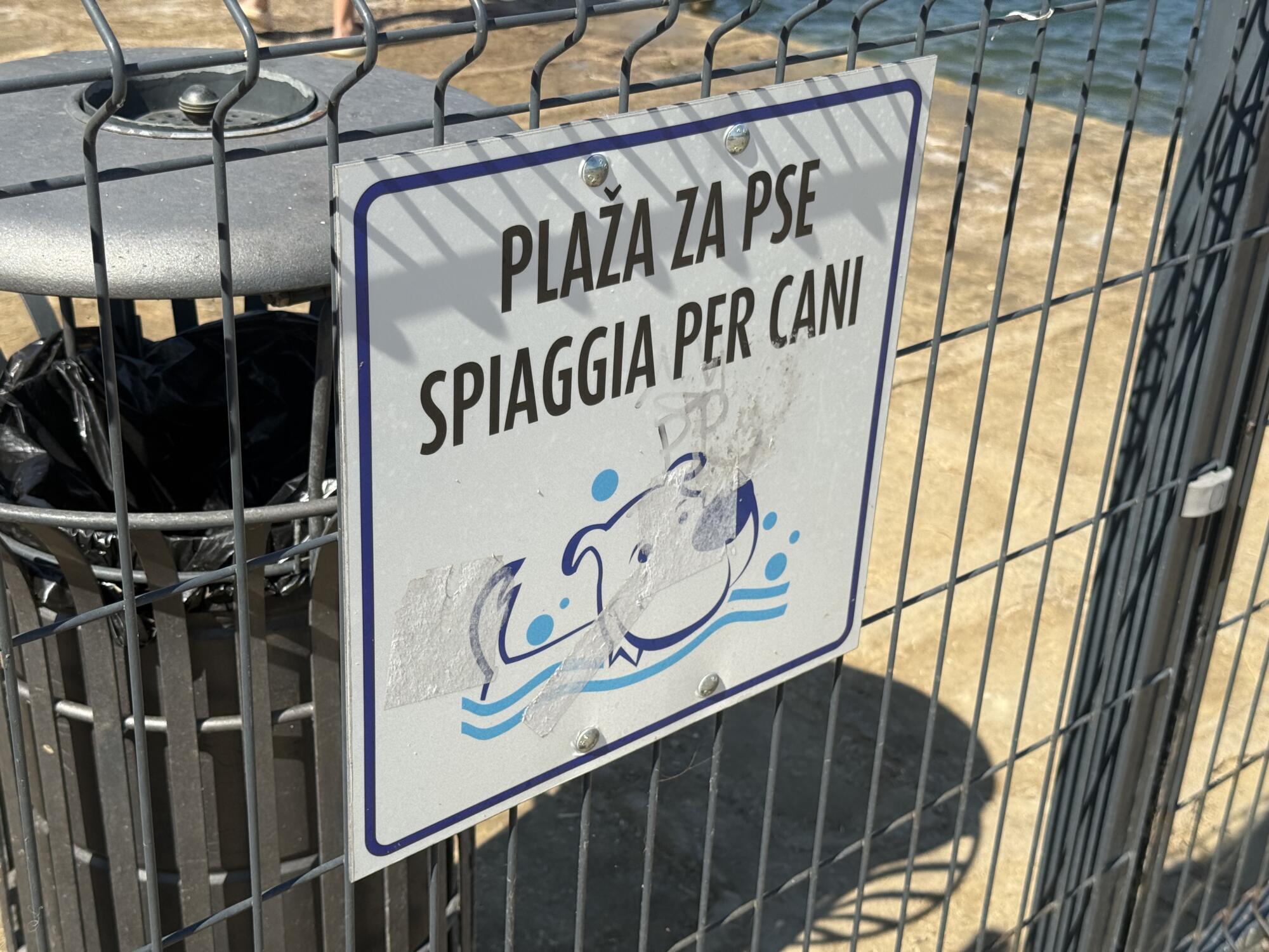 Pasje plaže na slovenski obali: 5 kotičkov, kjer lahko zaplava tudi vaš pes 3 pasja plaža kopanje psi hišni ljubljenčki morje