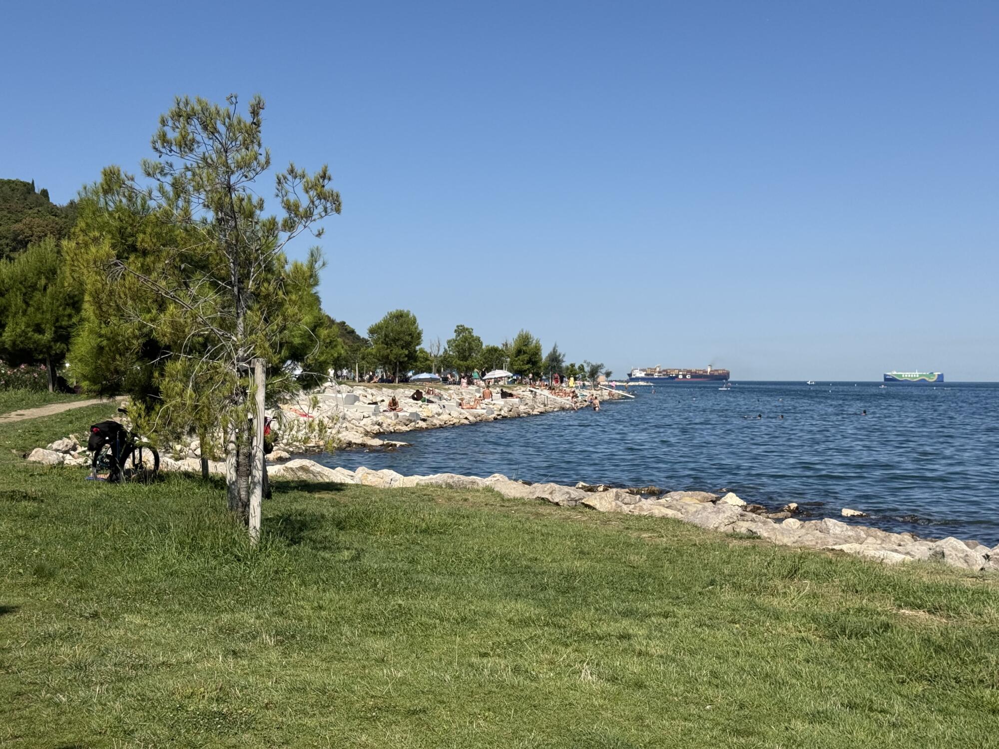 Pasje plaže na slovenski obali: 5 kotičkov, kjer lahko zaplava tudi vaš pes 7 pasja plaža kopanje psi hišni ljubljenčki morje žusterna koper