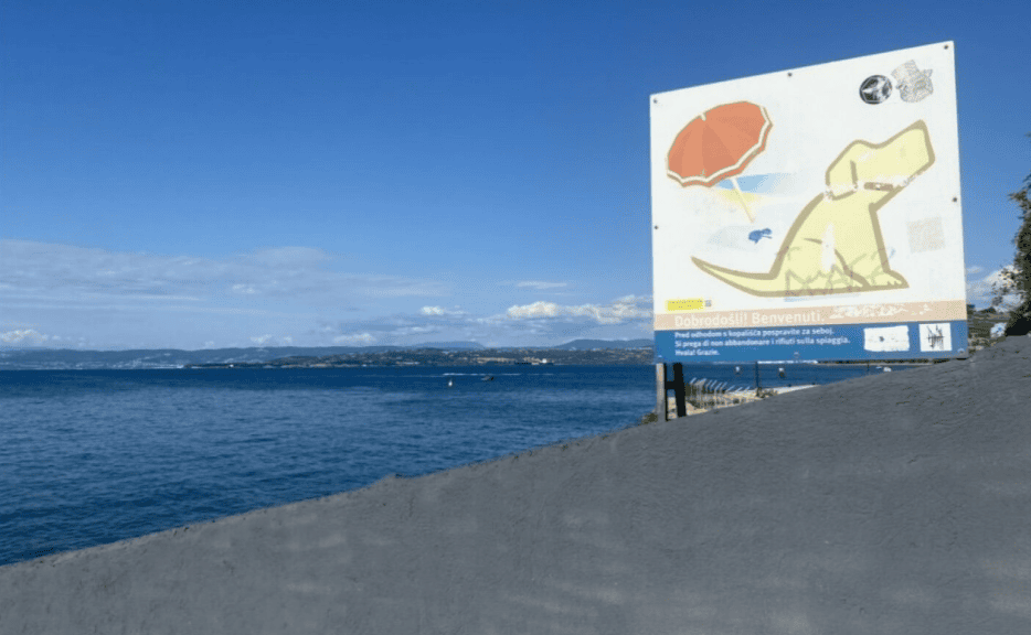 Pasje plaže na slovenski obali: 5 kotičkov, kjer lahko zaplava tudi vaš pes 9 pasja plaža kopanje psi hišni ljubljenčki morje izola