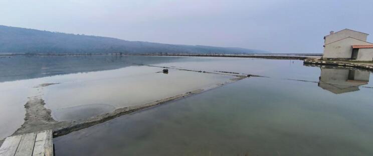 ENERGIJE FAKULTETA ZA POMORSTVO IN PROMET
