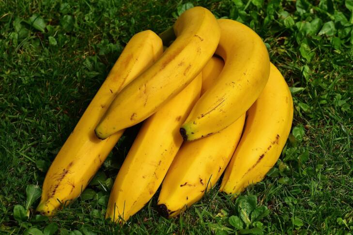 bananas 1642706 1280